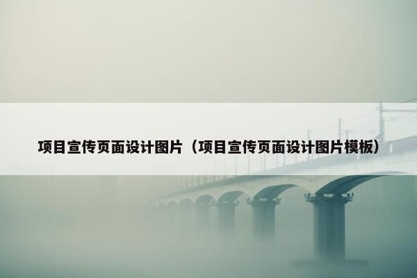 项目宣传页面设计图片（项目宣传页面设计图片模板）
