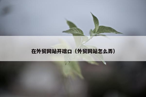 在外贸网站开端口（外贸网站怎么弄）