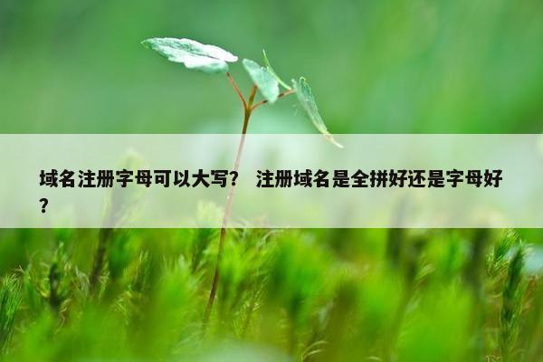 域名注册字母可以大写？ 注册域名是全拼好还是字母好？