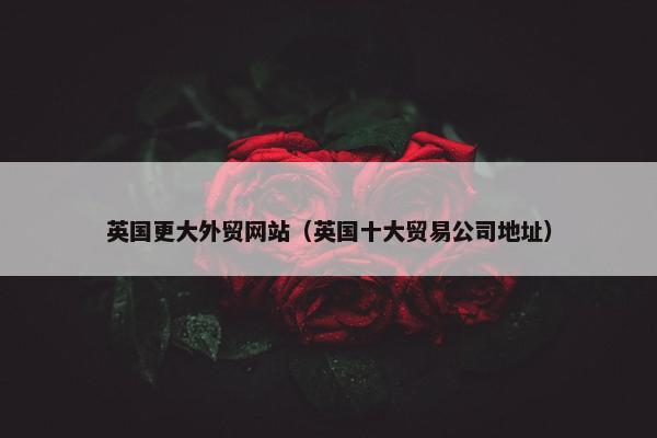 英国更大外贸网站（英国十大贸易公司地址）