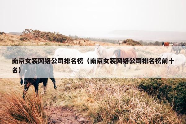 南京女装网络公司排名榜（南京女装网络公司排名榜前十名）