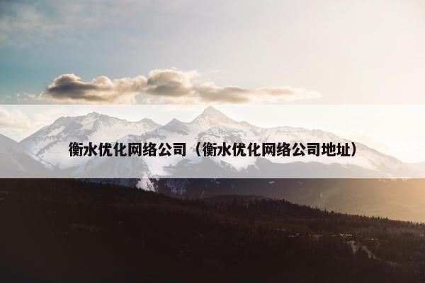 衡水优化网络公司（衡水优化网络公司地址）