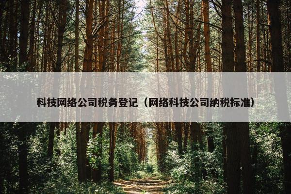 科技网络公司税务登记（网络科技公司纳税标准）