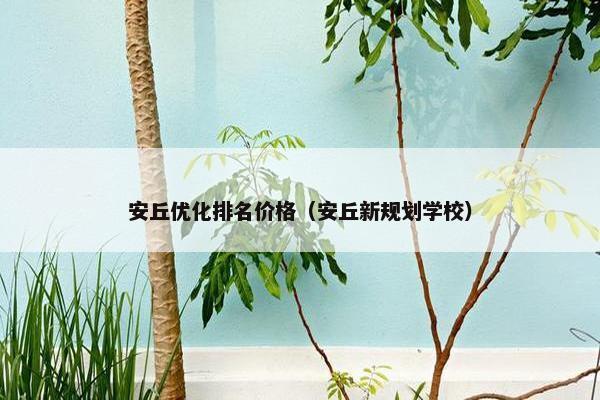安丘优化排名价格（安丘新规划学校）