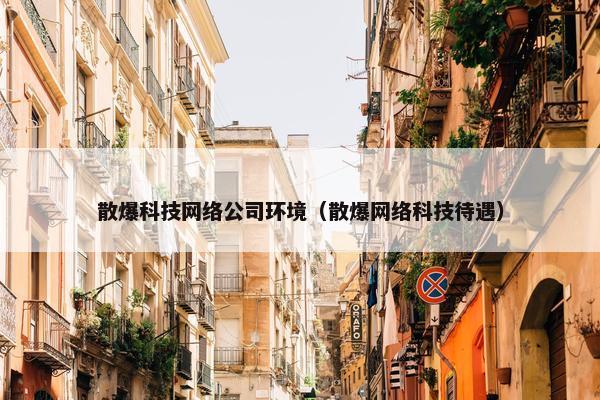 散爆科技网络公司环境（散爆网络科技待遇）