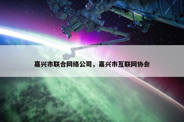 嘉兴市联合网络公司，嘉兴市互联网协会