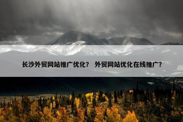 长沙外贸网站推广优化？ 外贸网站优化在线推广？