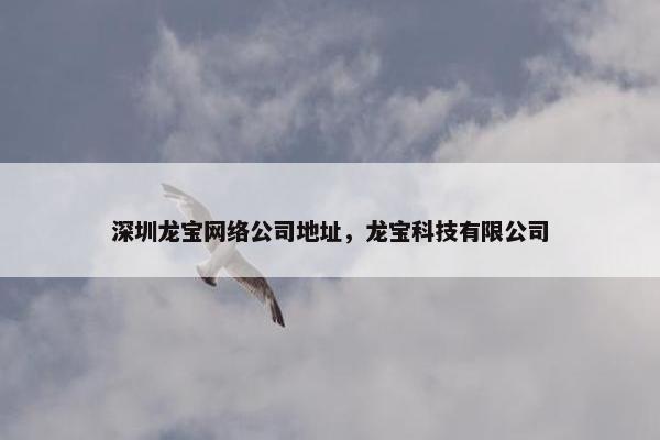 深圳龙宝网络公司地址，龙宝科技有限公司