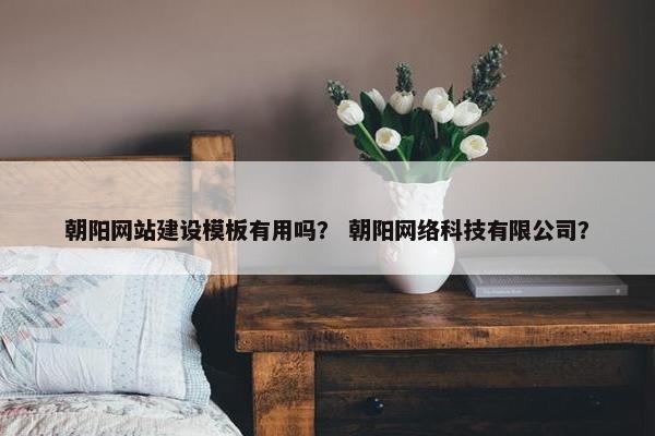 朝阳网站建设模板有用吗？ 朝阳网络科技有限公司？