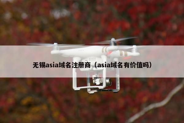 无锡asia域名注册商（asia域名有价值吗）