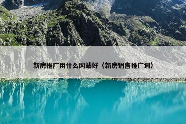 新房推广用什么网站好（新房销售推广词）