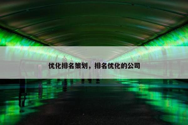 优化排名策划，排名优化的公司