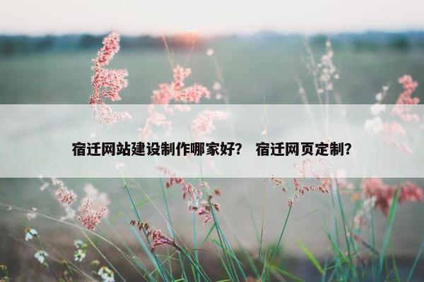 宿迁网站建设制作哪家好？ 宿迁网页定制？