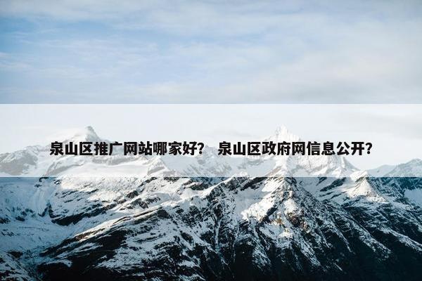 泉山区推广网站哪家好？ 泉山区政府网信息公开？