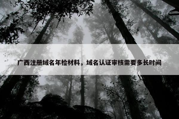广西注册域名年检材料，域名认证审核需要多长时间