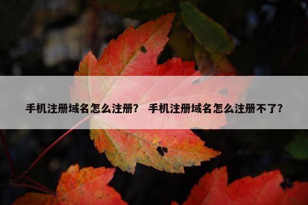 手机注册域名怎么注册？ 手机注册域名怎么注册不了？