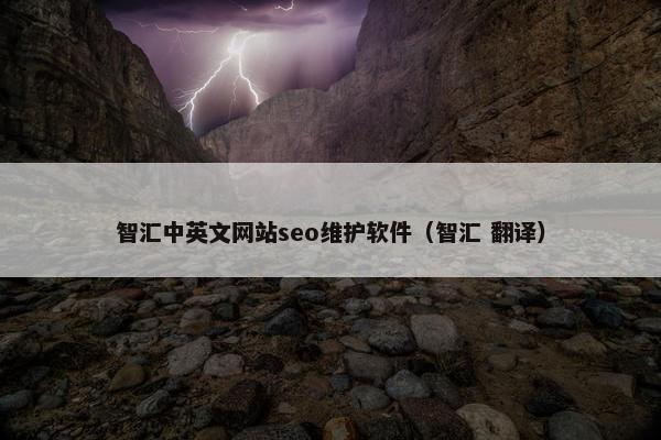 智汇中英文网站seo维护软件（智汇 翻译）