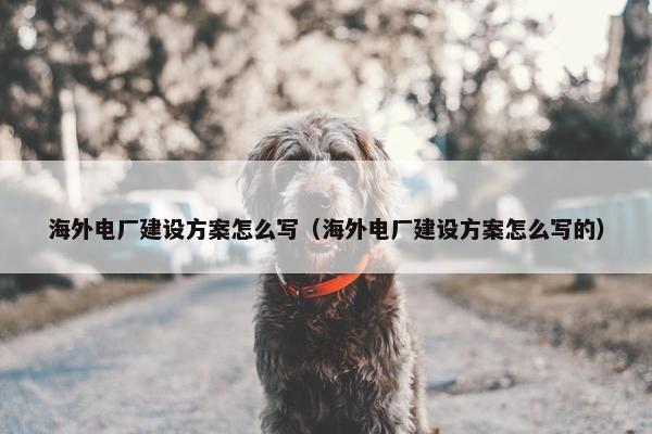 海外电厂建设方案怎么写（海外电厂建设方案怎么写的）