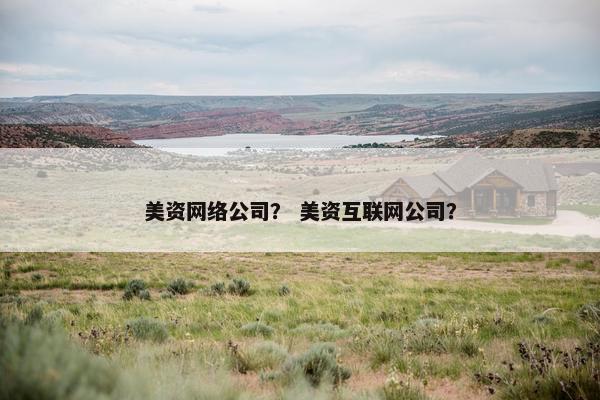 美资网络公司？ 美资互联网公司？