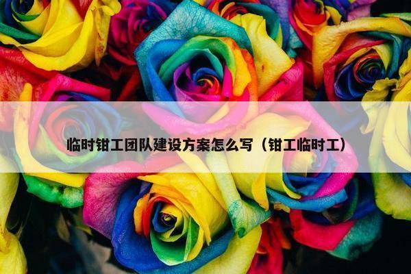 临时钳工团队建设方案怎么写（钳工临时工）