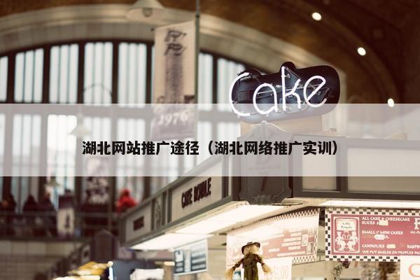 湖北网站推广途径（湖北网络推广实训）