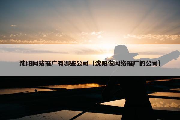 沈阳网站推广有哪些公司（沈阳做网络推广的公司）