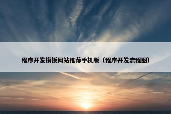 程序开发模板网站推荐手机版（程序开发流程图）
