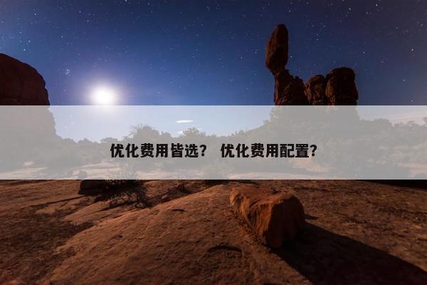 优化费用皆选？ 优化费用配置？
