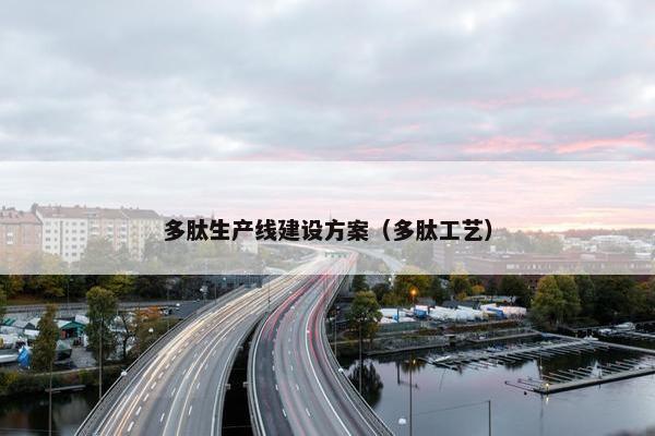 多肽生产线建设方案（多肽工艺）
