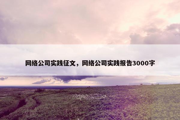 网络公司实践征文，网络公司实践报告3000字