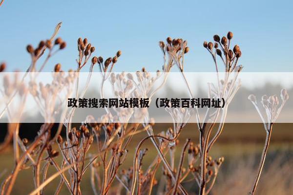 政策搜索网站模板（政策百科网址）
