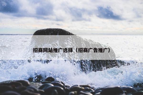 招商网站推广选择（招商广告推广）