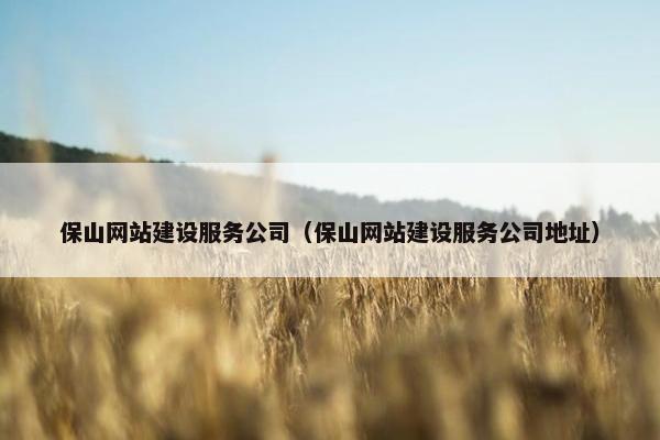 保山网站建设服务公司（保山网站建设服务公司地址）