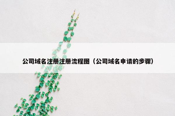 公司域名注册注册流程图（公司域名申请的步骤）