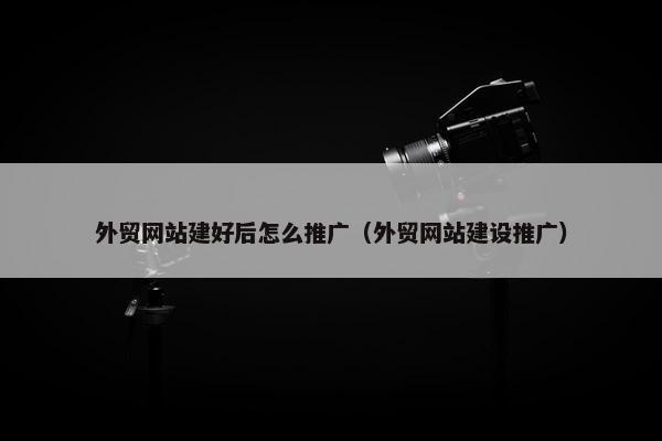 外贸网站建好后怎么推广（外贸网站建设推广）