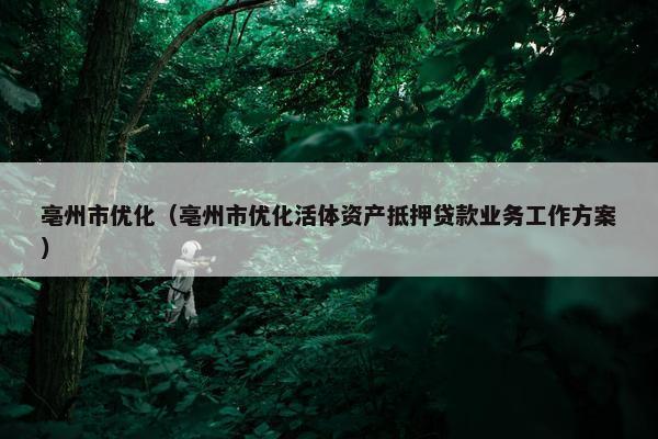 亳州市优化（亳州市优化活体资产抵押贷款业务工作方案）