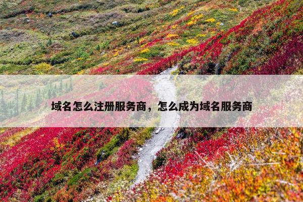 域名怎么注册服务商，怎么成为域名服务商