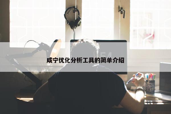 咸宁优化分析工具的简单介绍