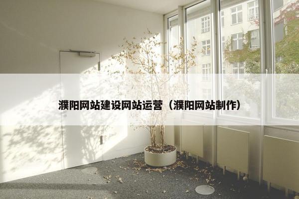 濮阳网站建设网站运营（濮阳网站制作）
