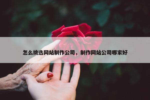 怎么挑选网站制作公司，制作网站公司哪家好