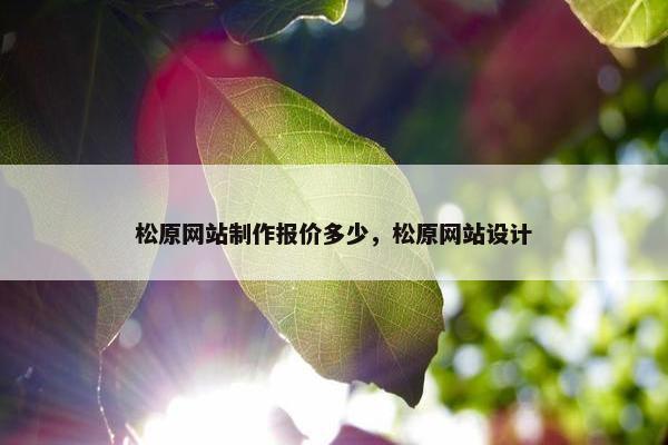 松原网站制作报价多少，松原网站设计