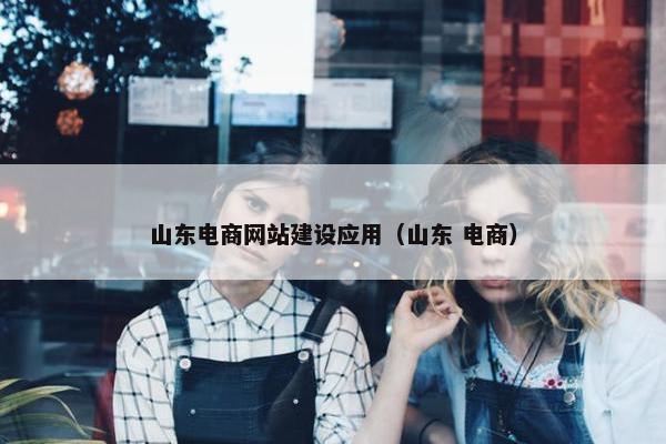 山东电商网站建设应用（山东 电商）