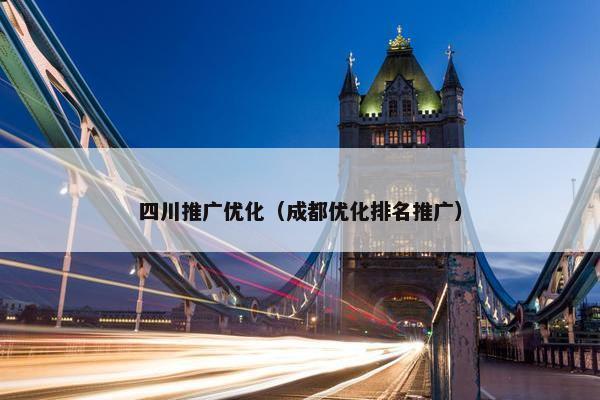 四川推广优化（成都优化排名推广）