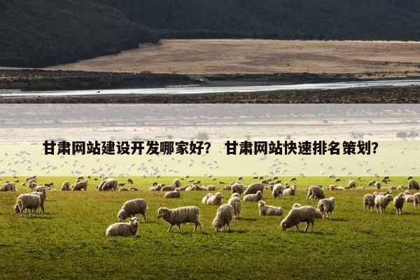 甘肃网站建设开发哪家好？ 甘肃网站快速排名策划？