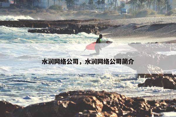 水润网络公司，水润网络公司简介