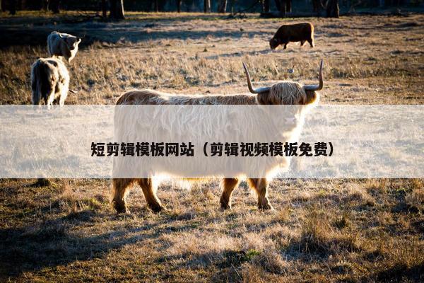 短剪辑模板网站（剪辑视频模板免费）