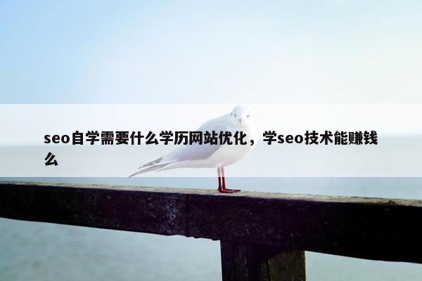 seo自学需要什么学历网站优化，学seo技术能赚钱么