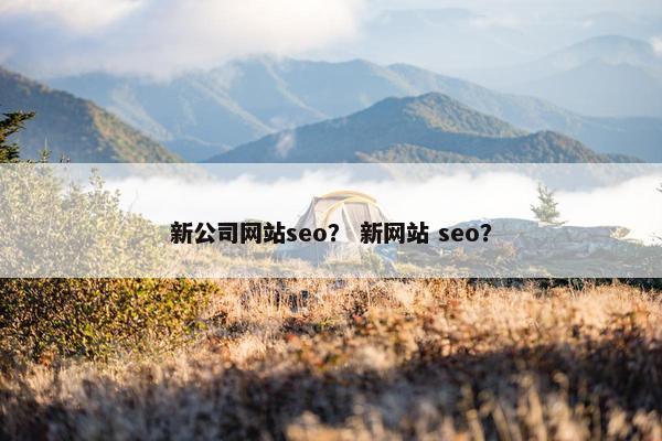 新公司网站seo？ 新网站 seo？
