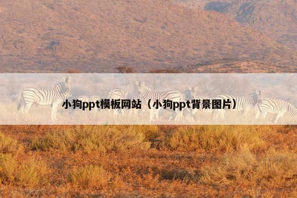 小狗ppt模板网站（小狗ppt背景图片）