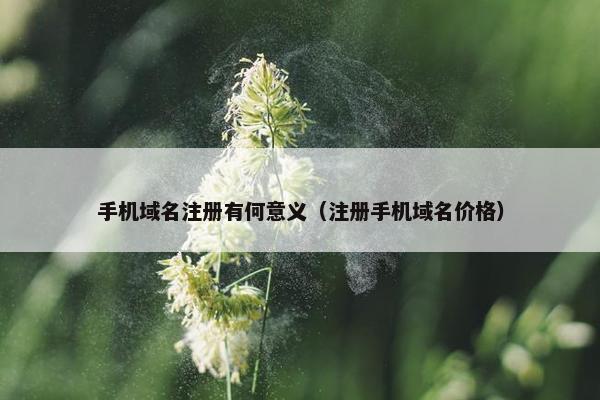 手机域名注册有何意义（注册手机域名价格）